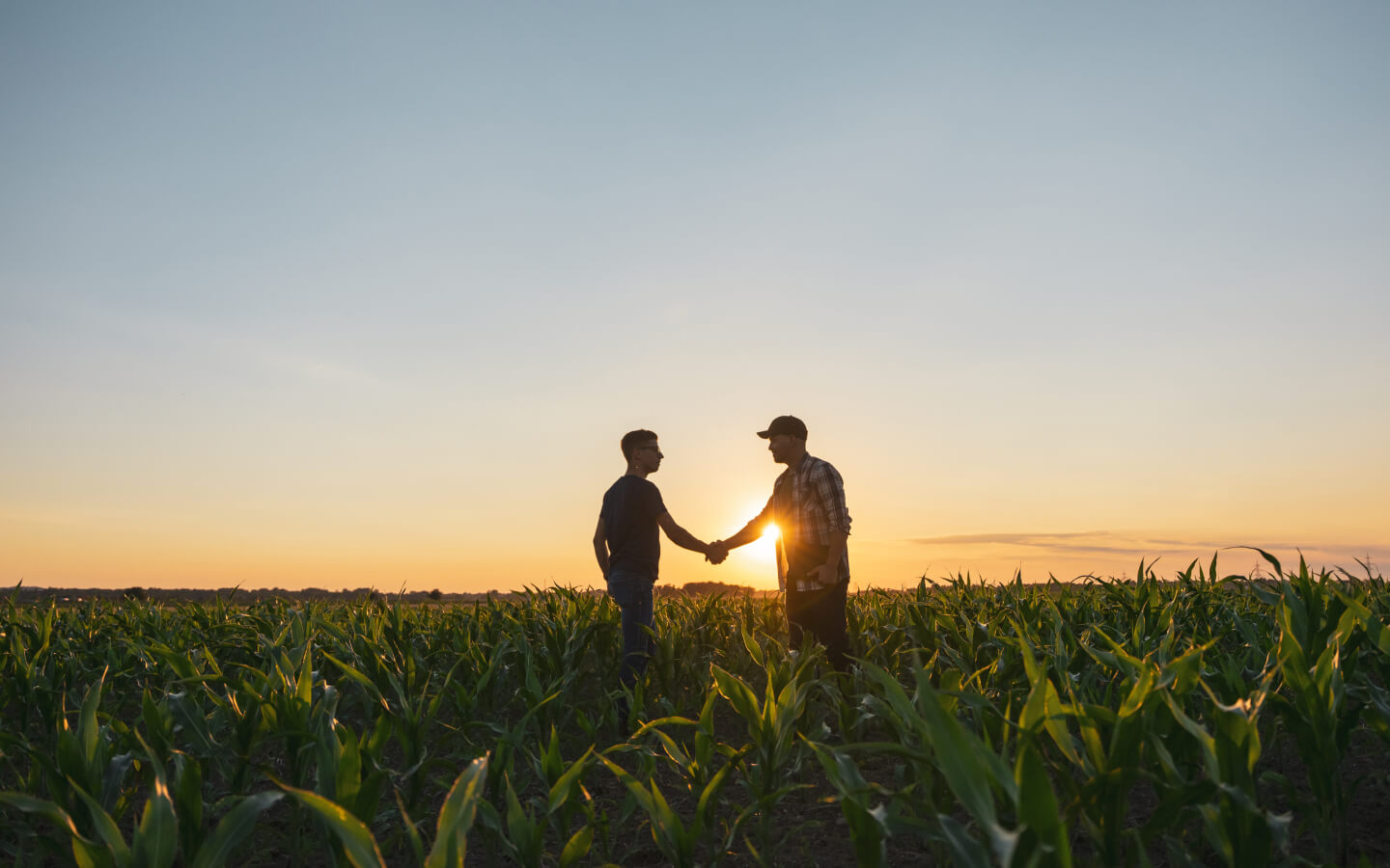 Farmer handshake in field