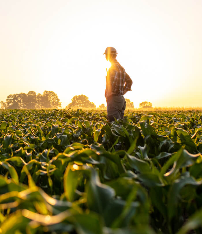 Farmer standing on corn field against sky with silos in background