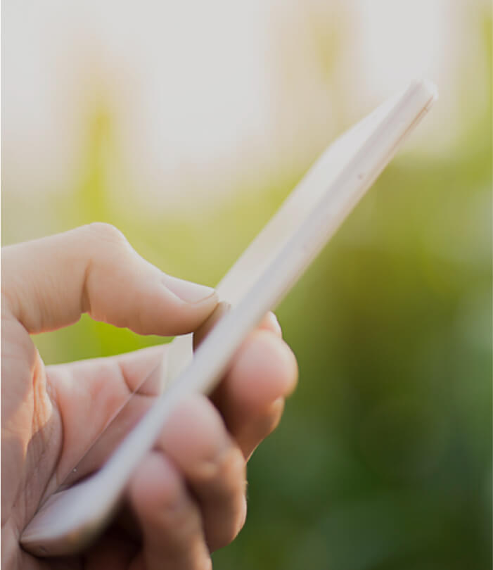 Mobile Phone in Hand